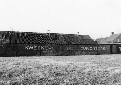 847937 Gezicht op een grote schuur, met het opschrift 'Kweekerij De Duiventoren' (Cuneraweg 307) te Achterberg Rhenen.